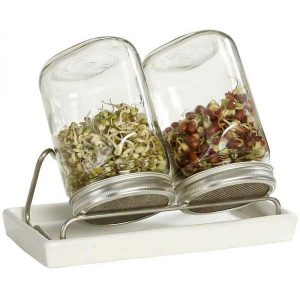 System II - Double Stand, Tray and Eschenfelder Sprouting Jars (1000ml)